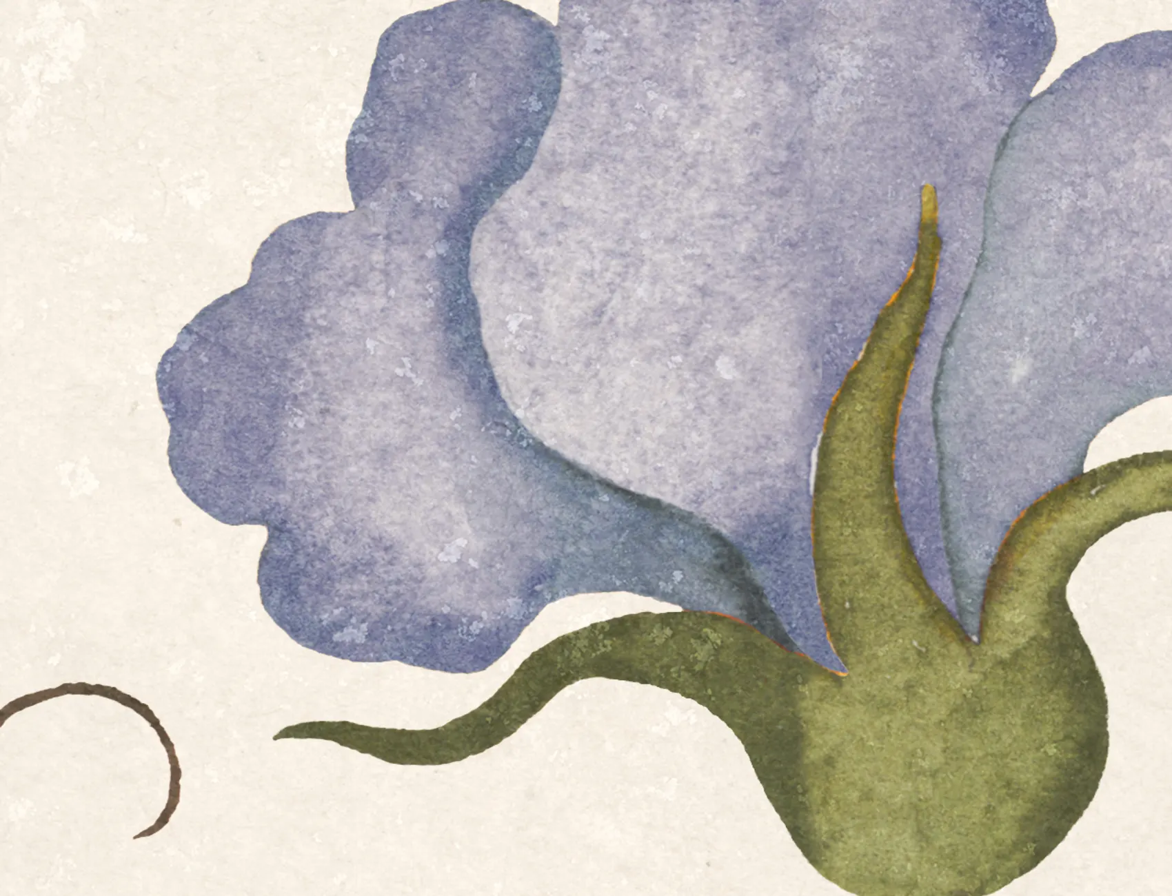Vignes bleues biologiques