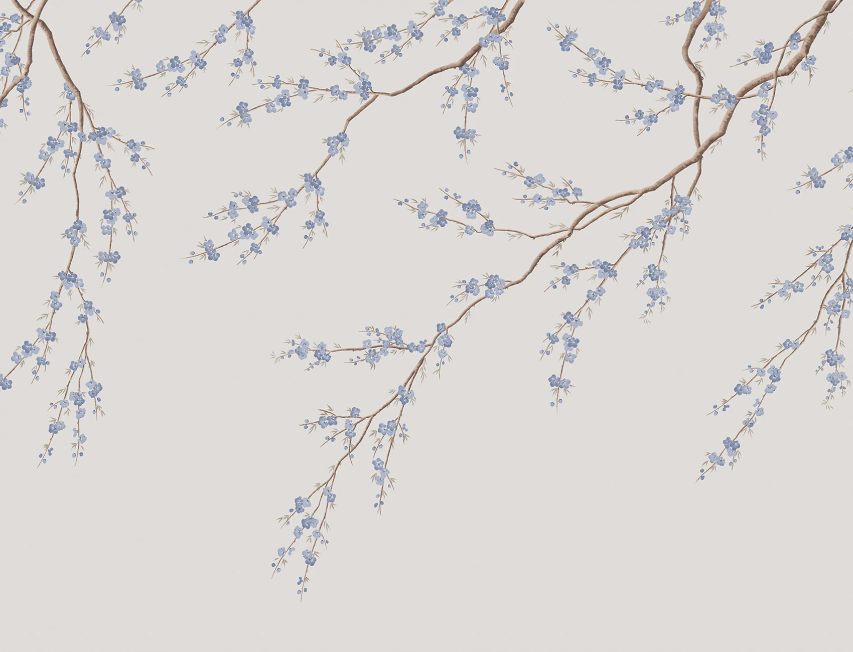 Blossom Whispers