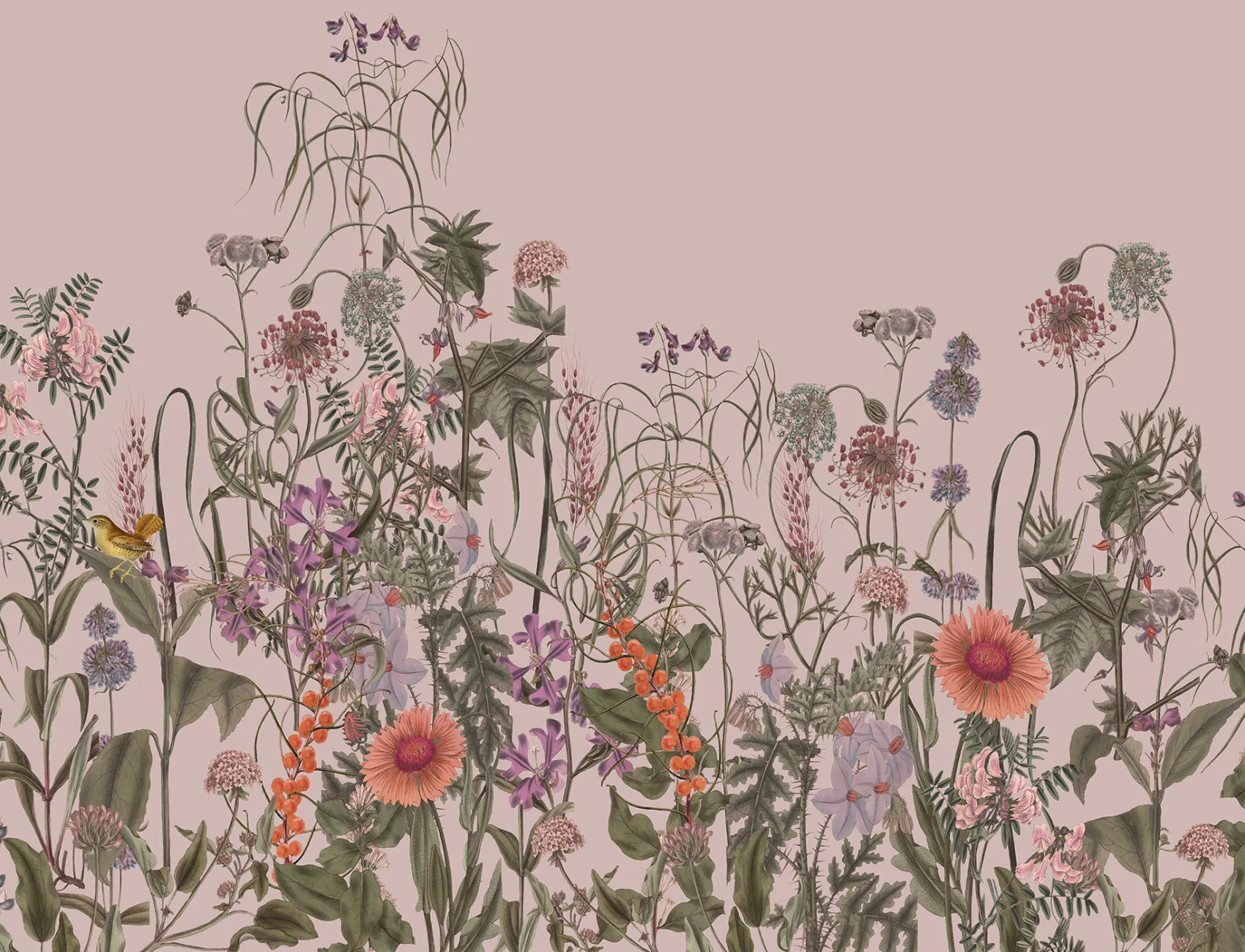Embrasser la nature avec Springmeadow