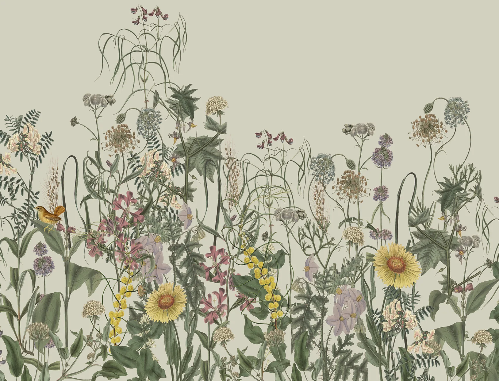 Naturens lerret i blomst