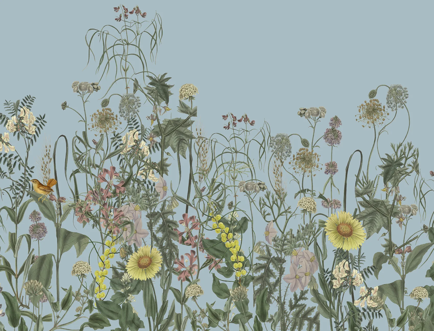 Embrace the Wild Blooms