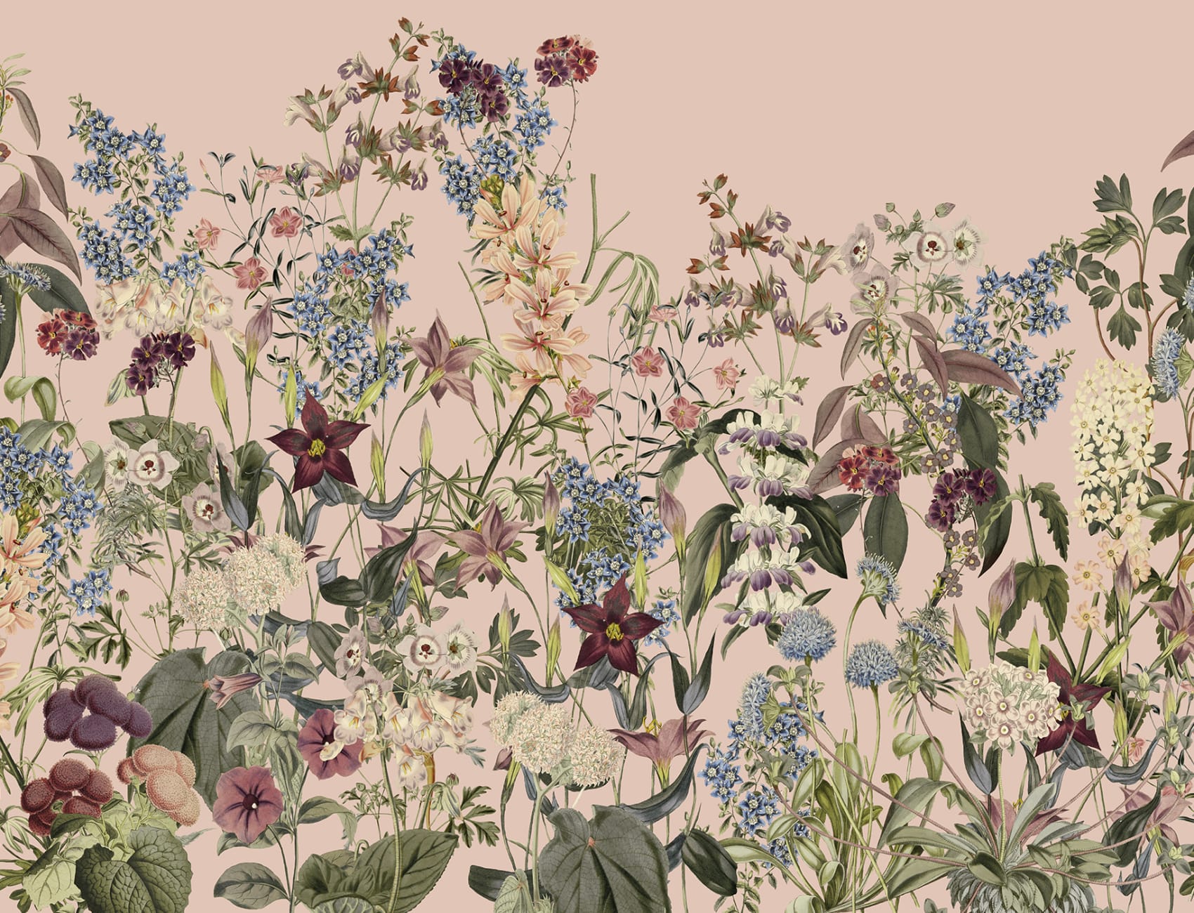 Embrace Nature mit Summerland Charm