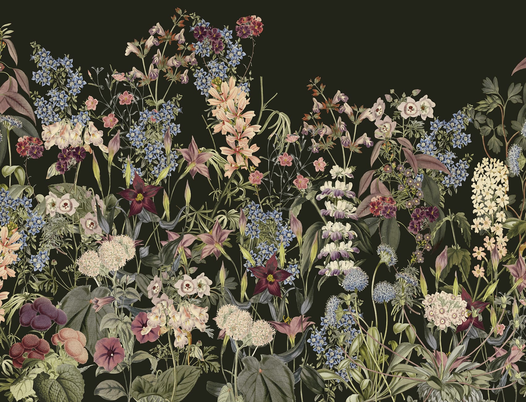 Fortryllende blomsteroase i svart