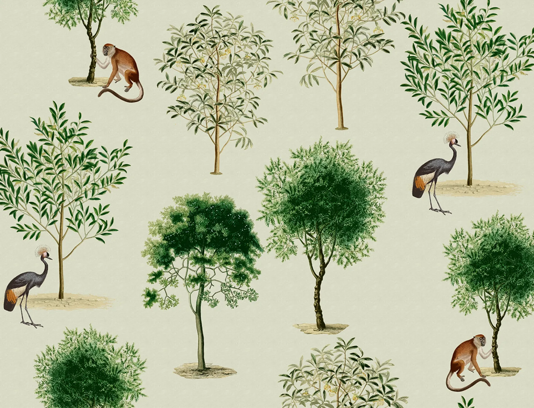 Serenità selvaggia: Scimmie e Alberi Wallpaper