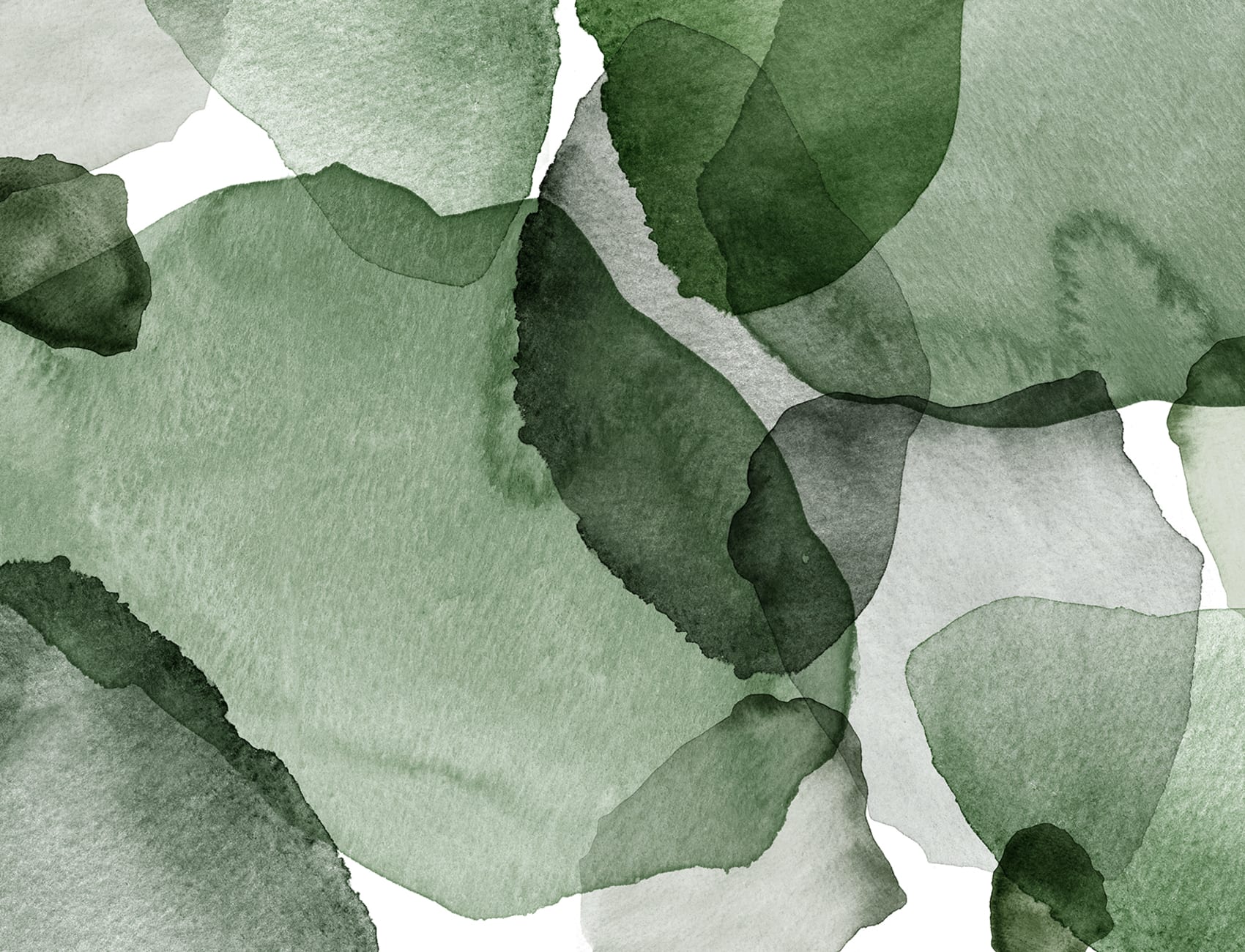 Discover the Elegance of Shadow Petals