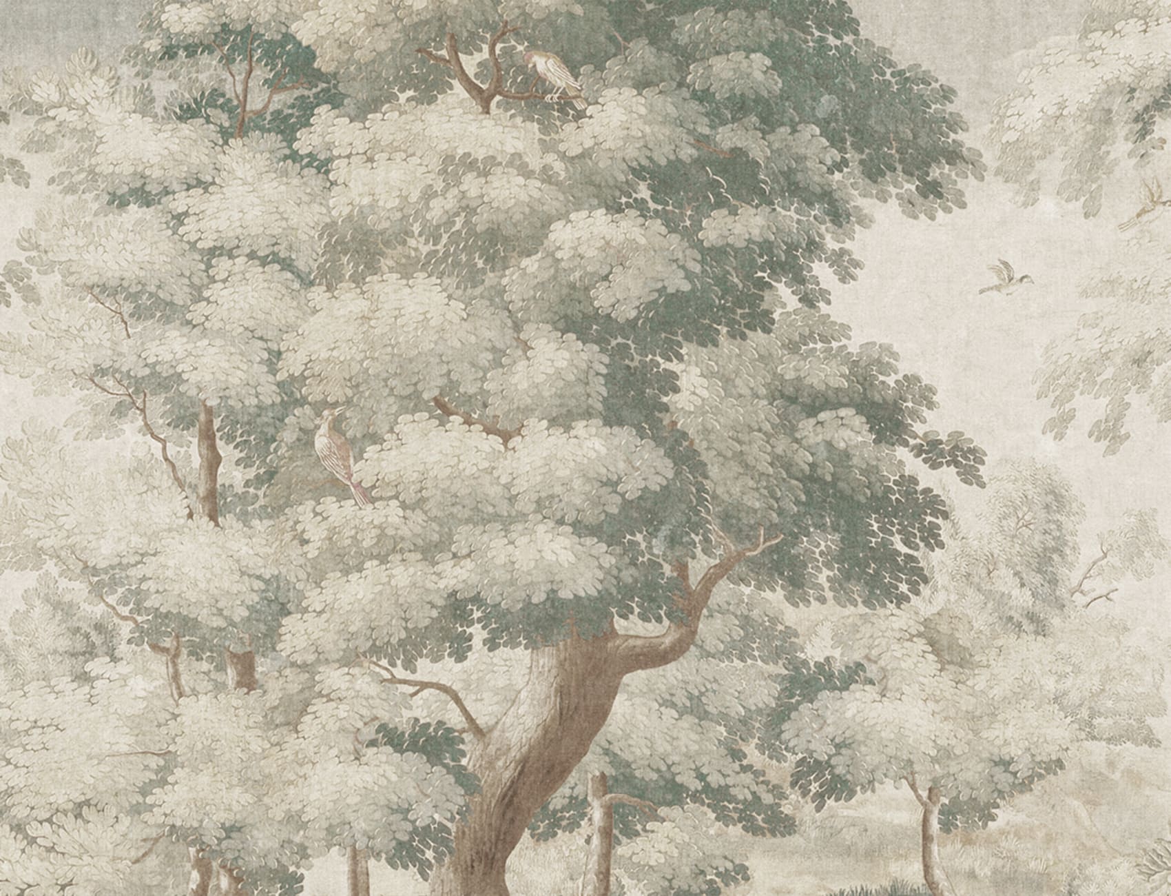Vivi la Serenità della Natura