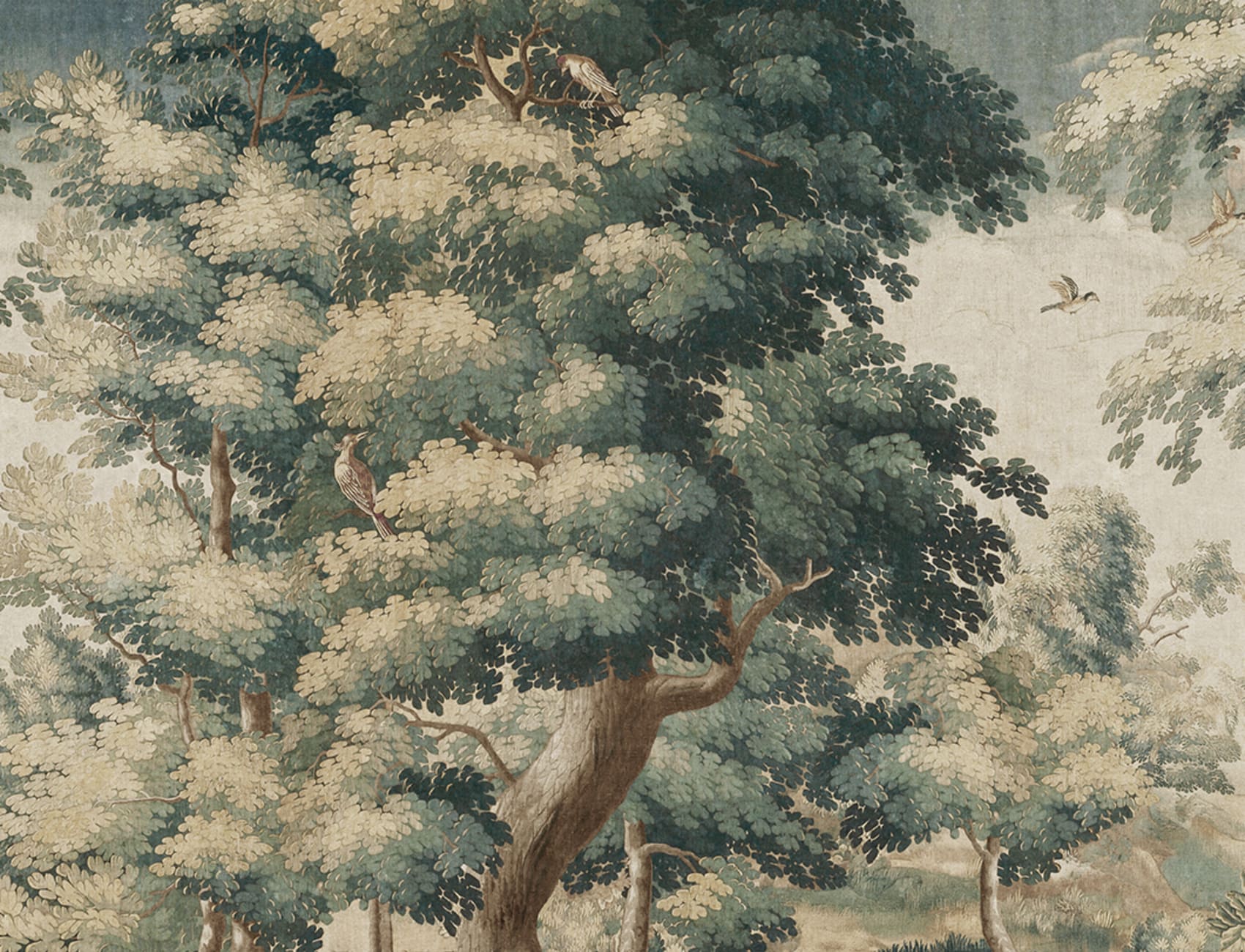 Escape into Tranquil Landscapes