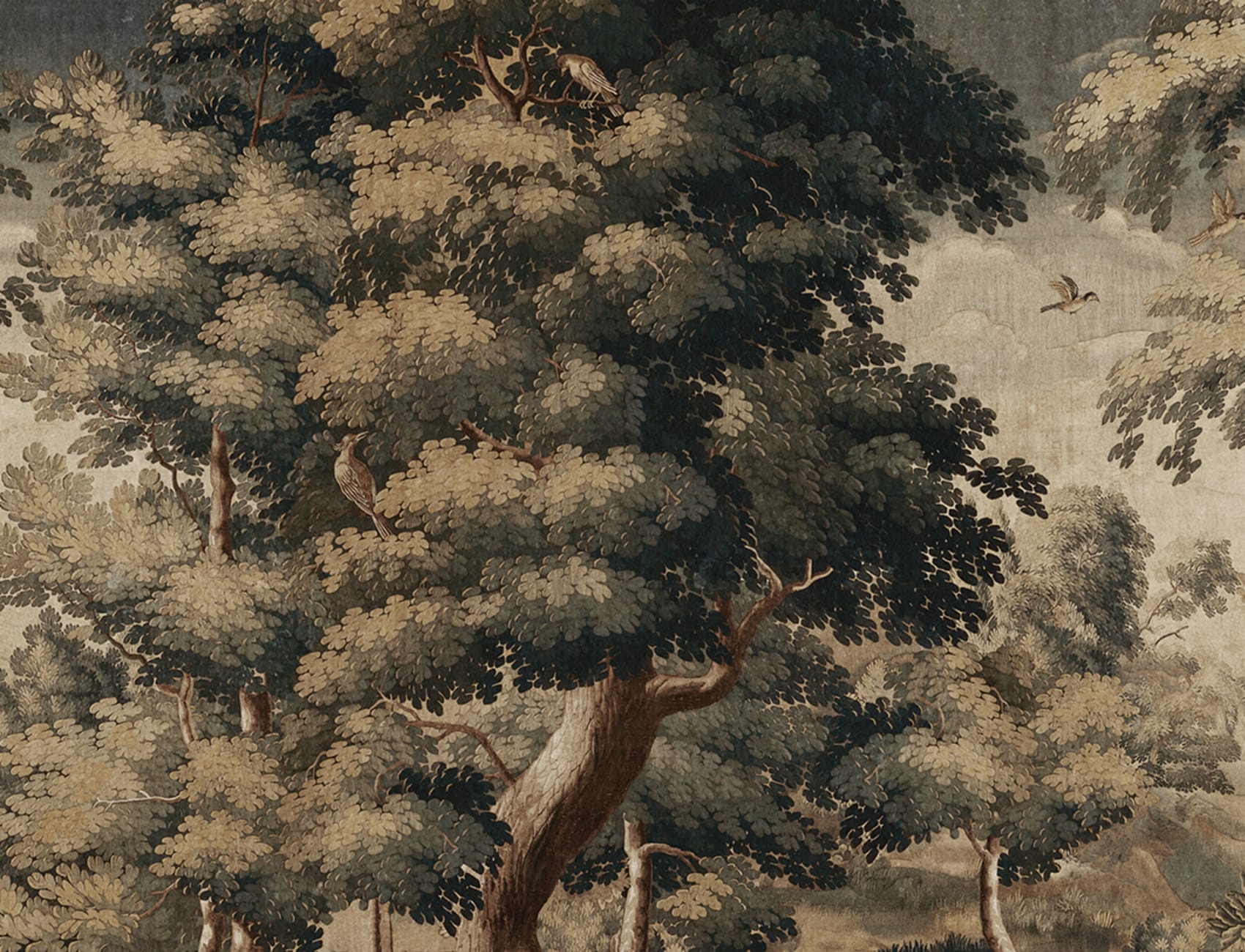 Journey Through a Timeless Woodland