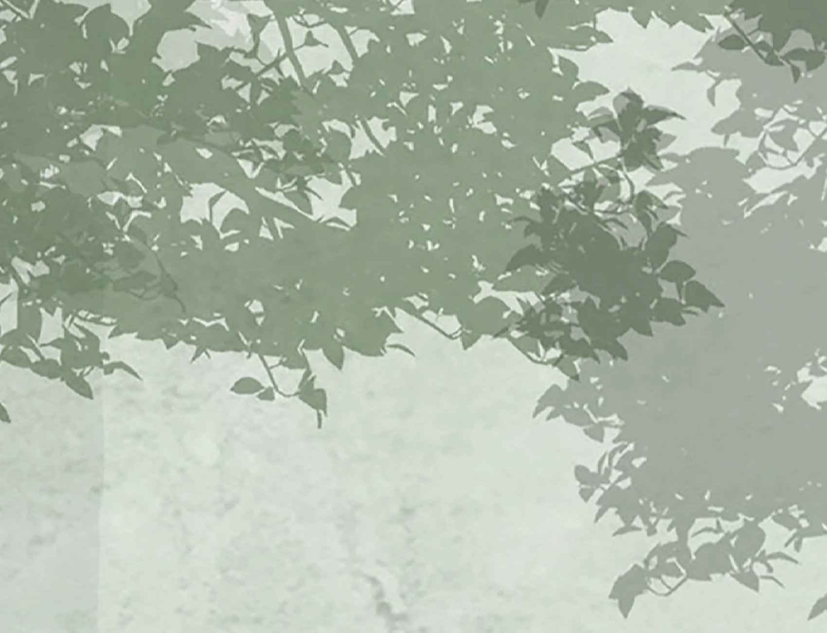 Αγκαλιάστε την ηρεμία των Silent Woods
