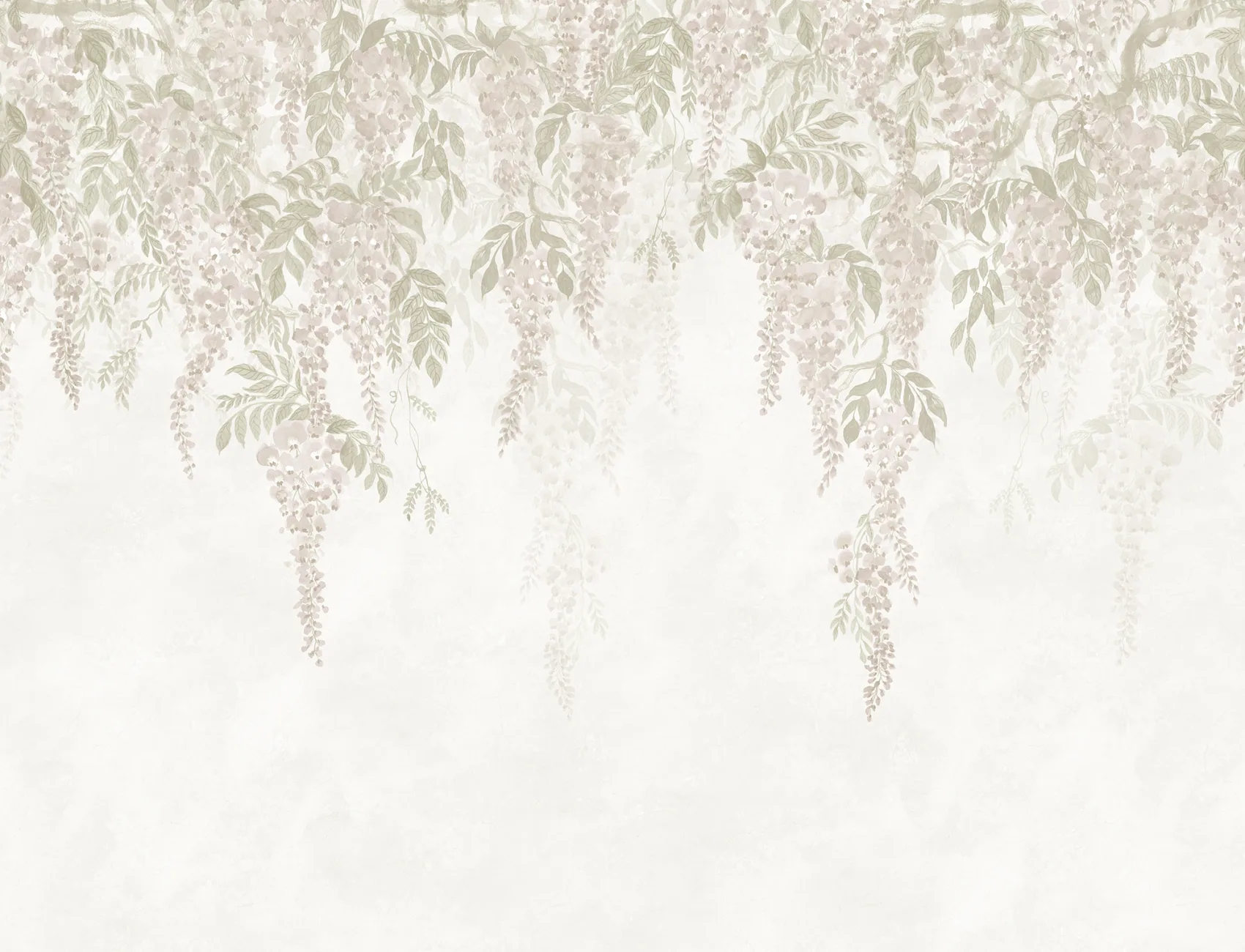 Elegant Wisteria