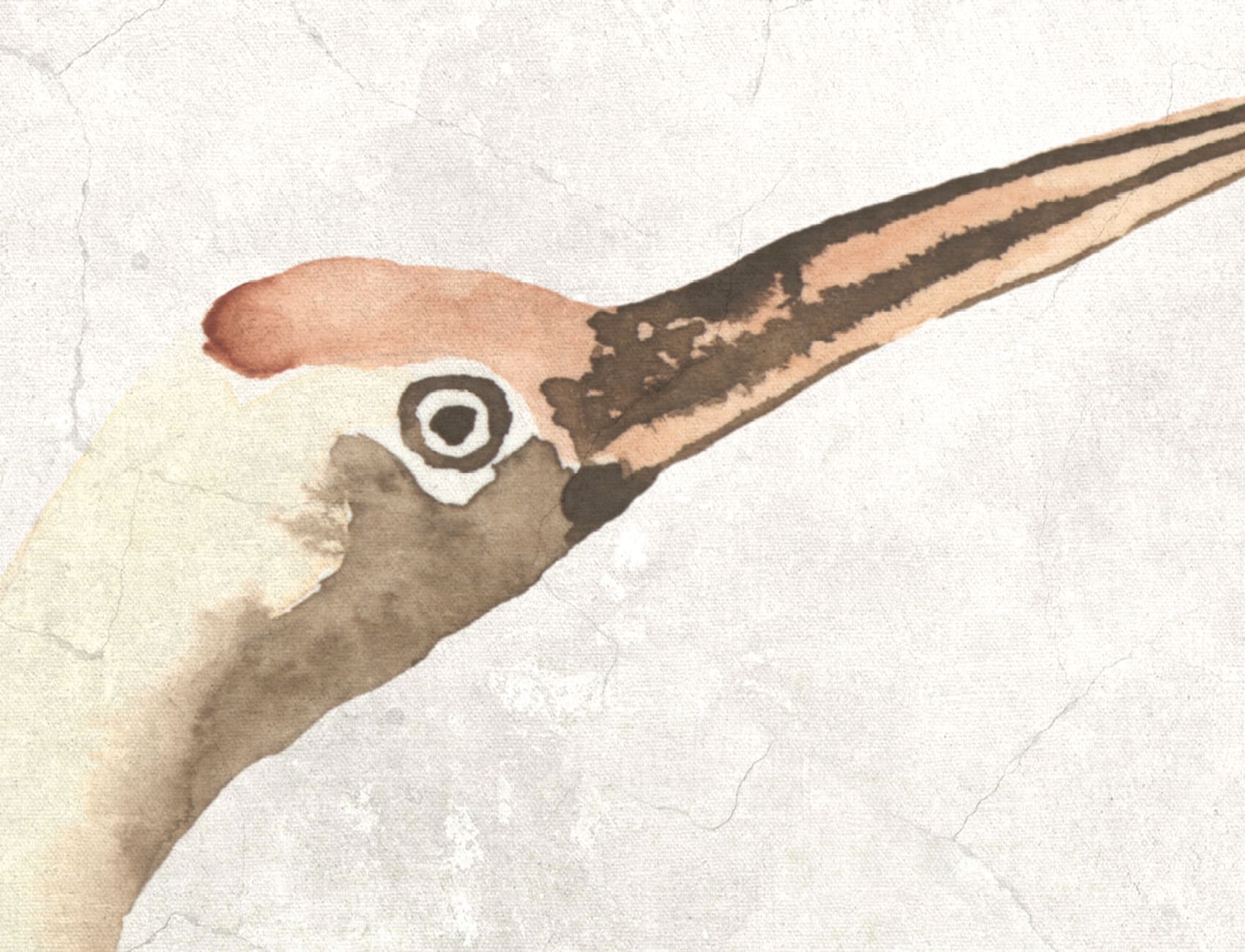 Dreamy Cranes