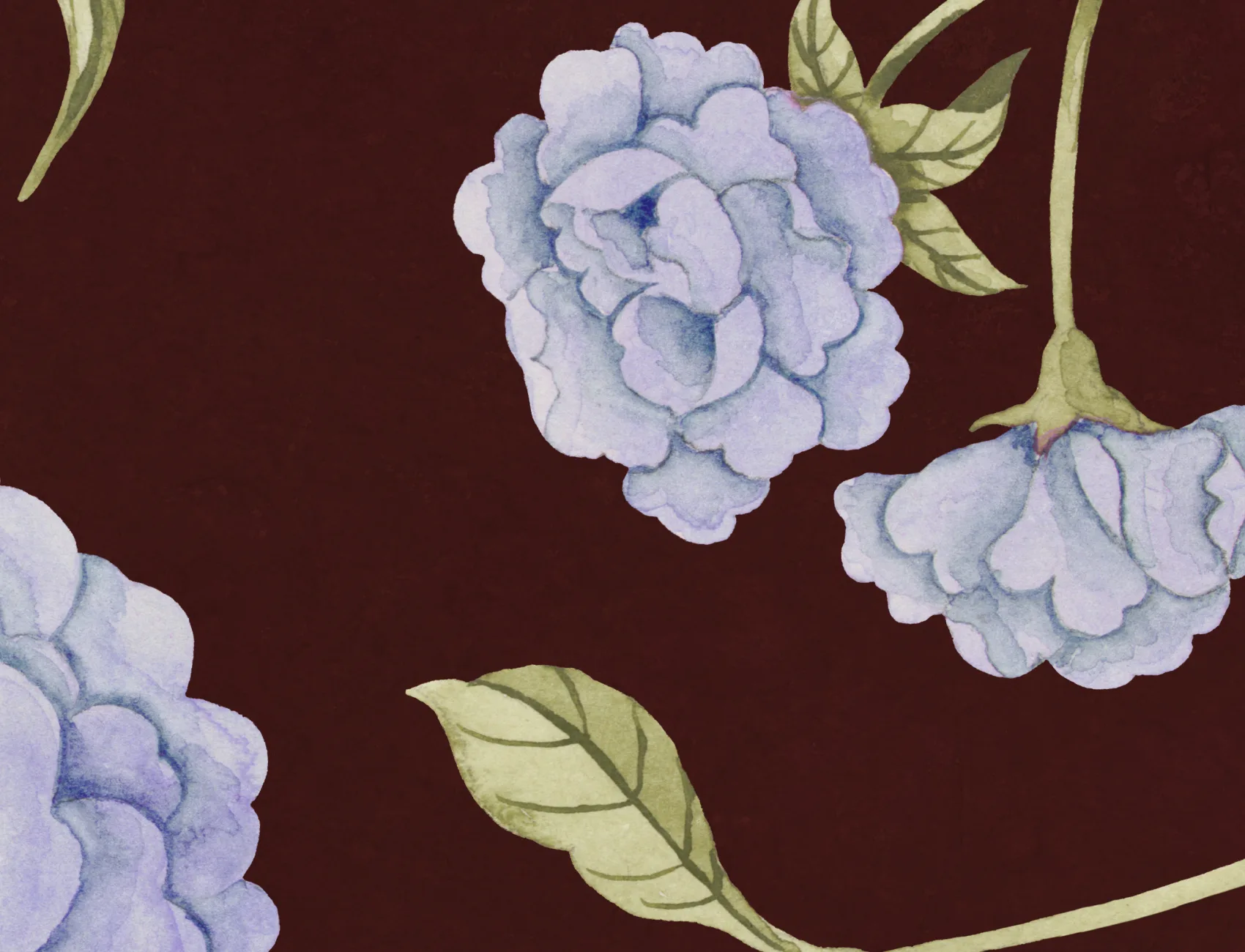 Élégance des pivoines de Bourgogne