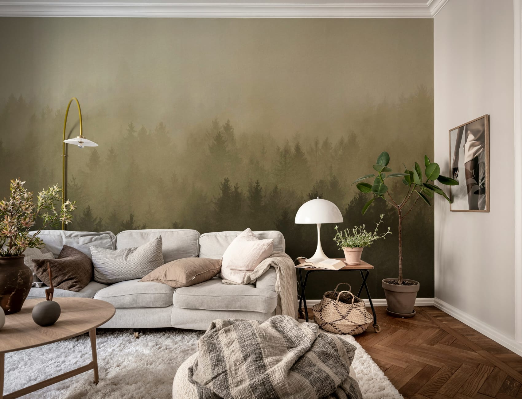 Kietoudu Pilviseen Metsän Rauhaan