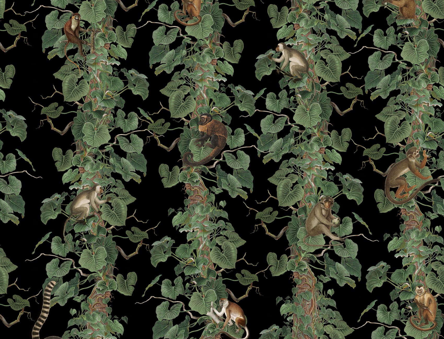 Wspinaj się na szczyty kreatywności