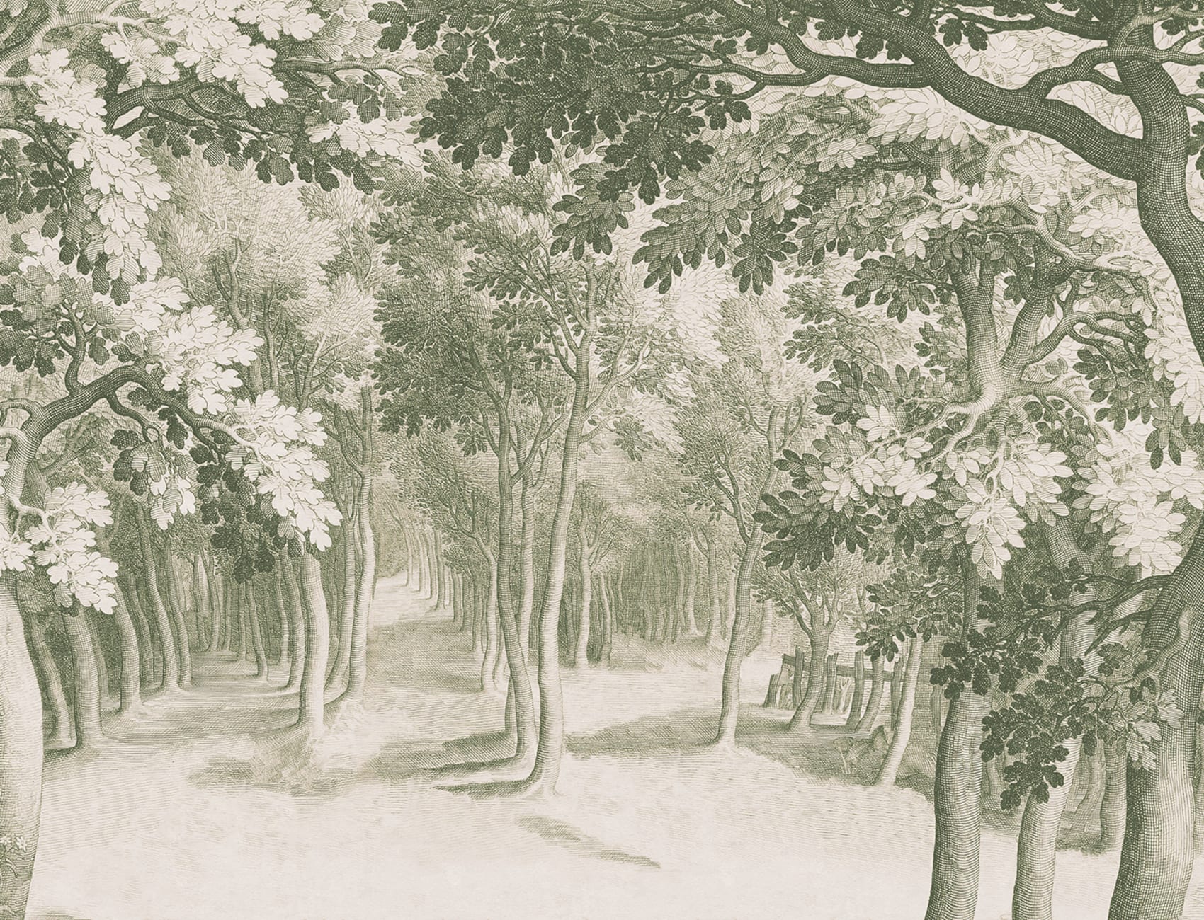 Engraved Forest Serenity