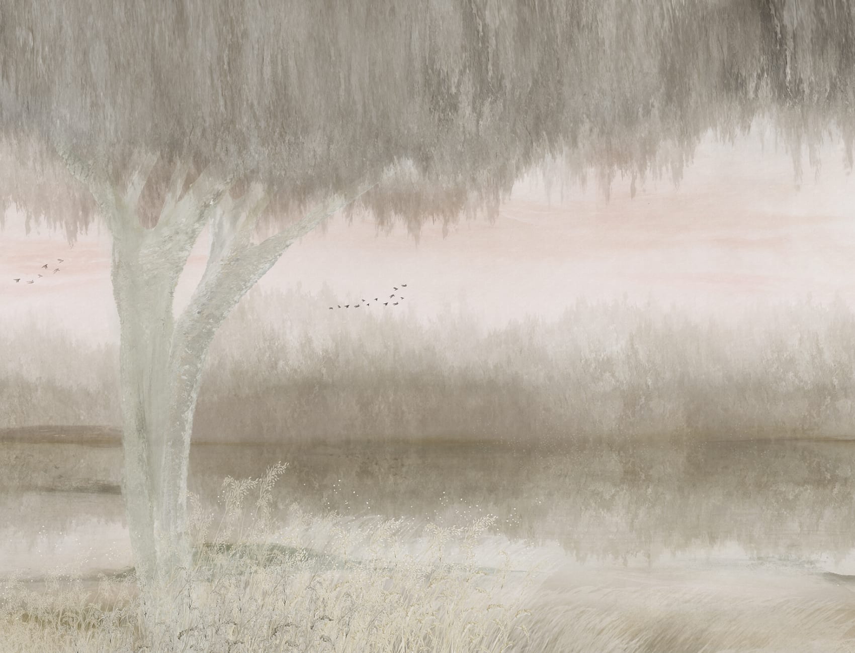 Serene Reflections