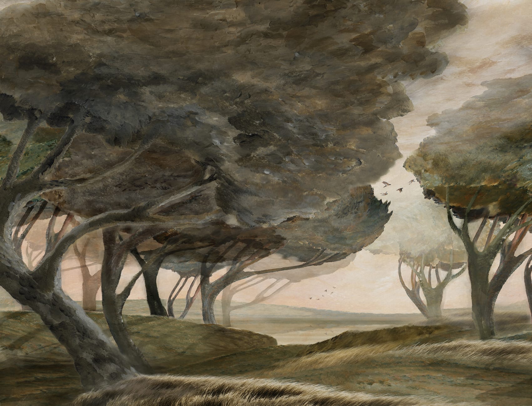 Embrace the Atmosphere of Windy Woods