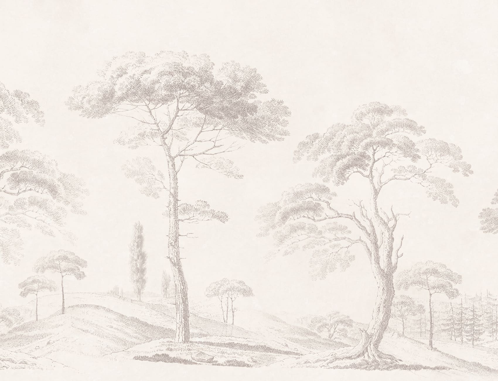 Études d'Arbres Élégants en Beige