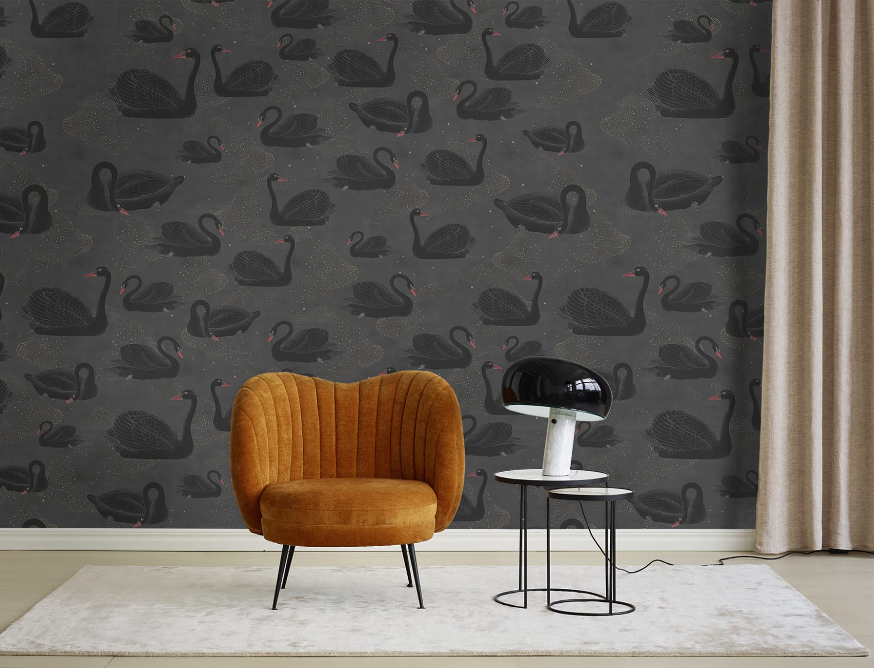 Expect the unexpected with a black swan wallpaper