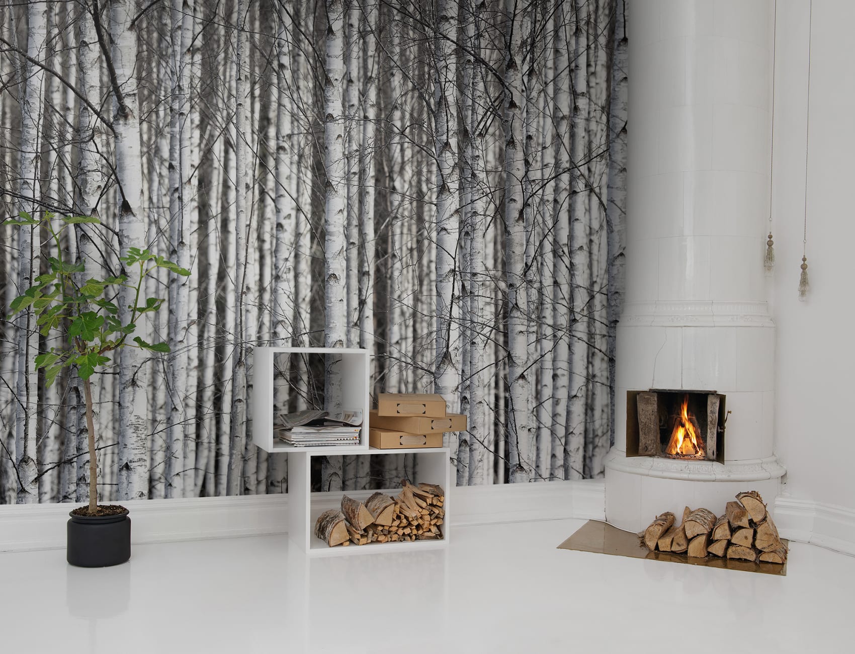 Tree wallpaper looking like birch trunks in characteristic black and white