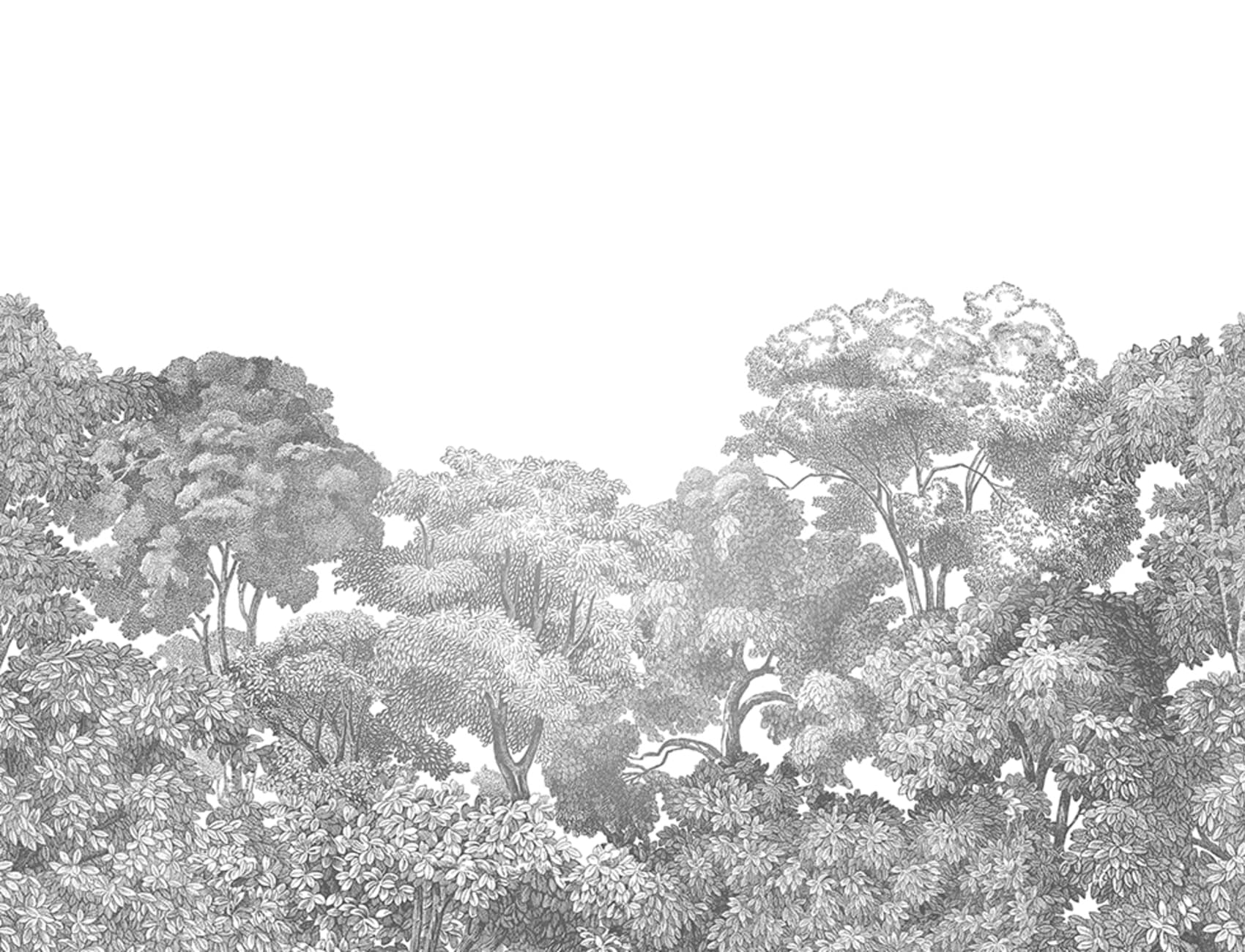 Enchanting gray wallpaper with a stunning forest scene