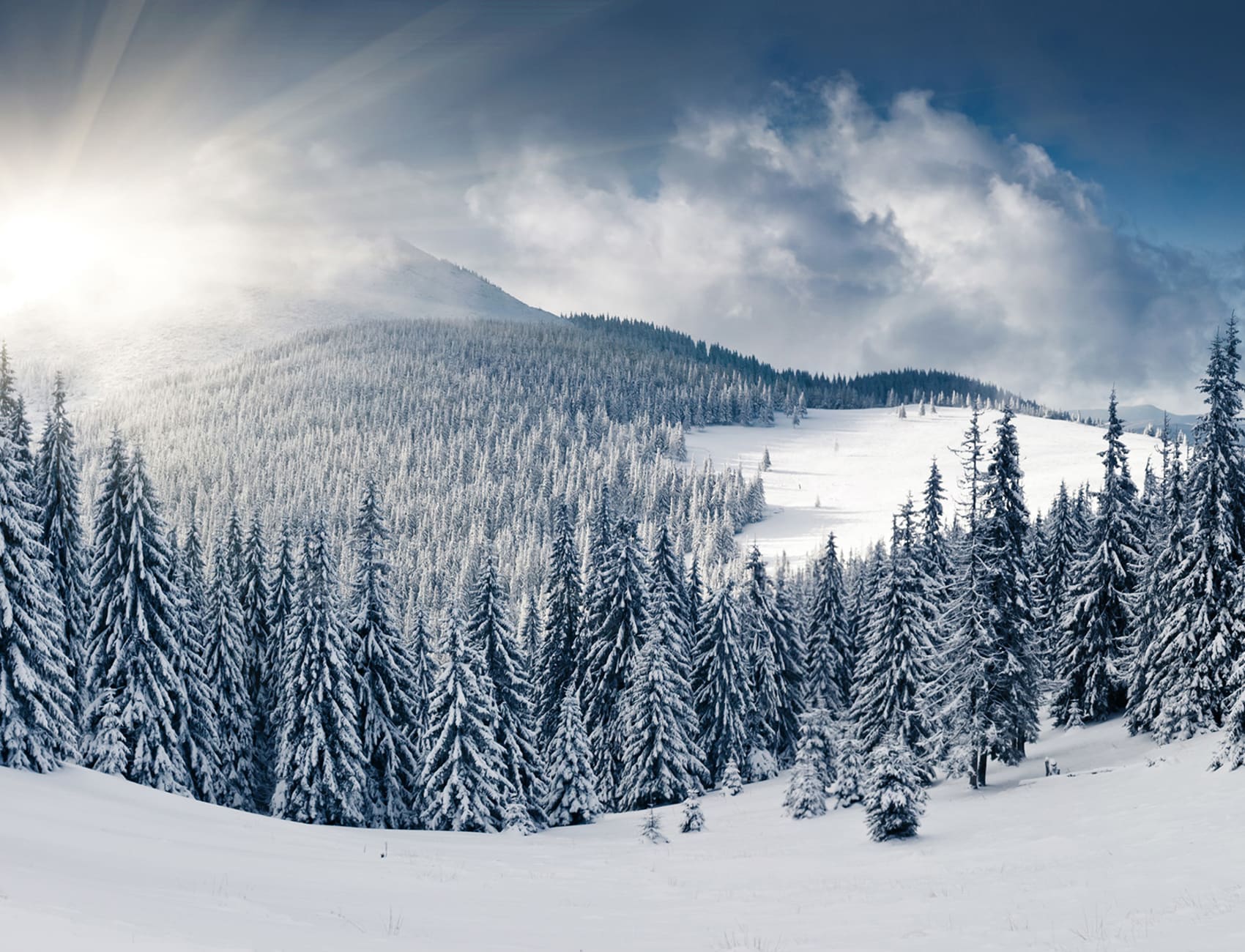 Winter