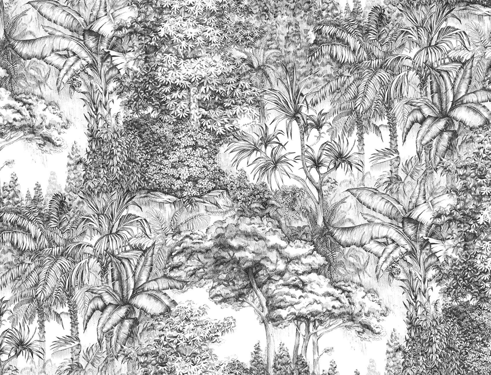 Graphic jungle