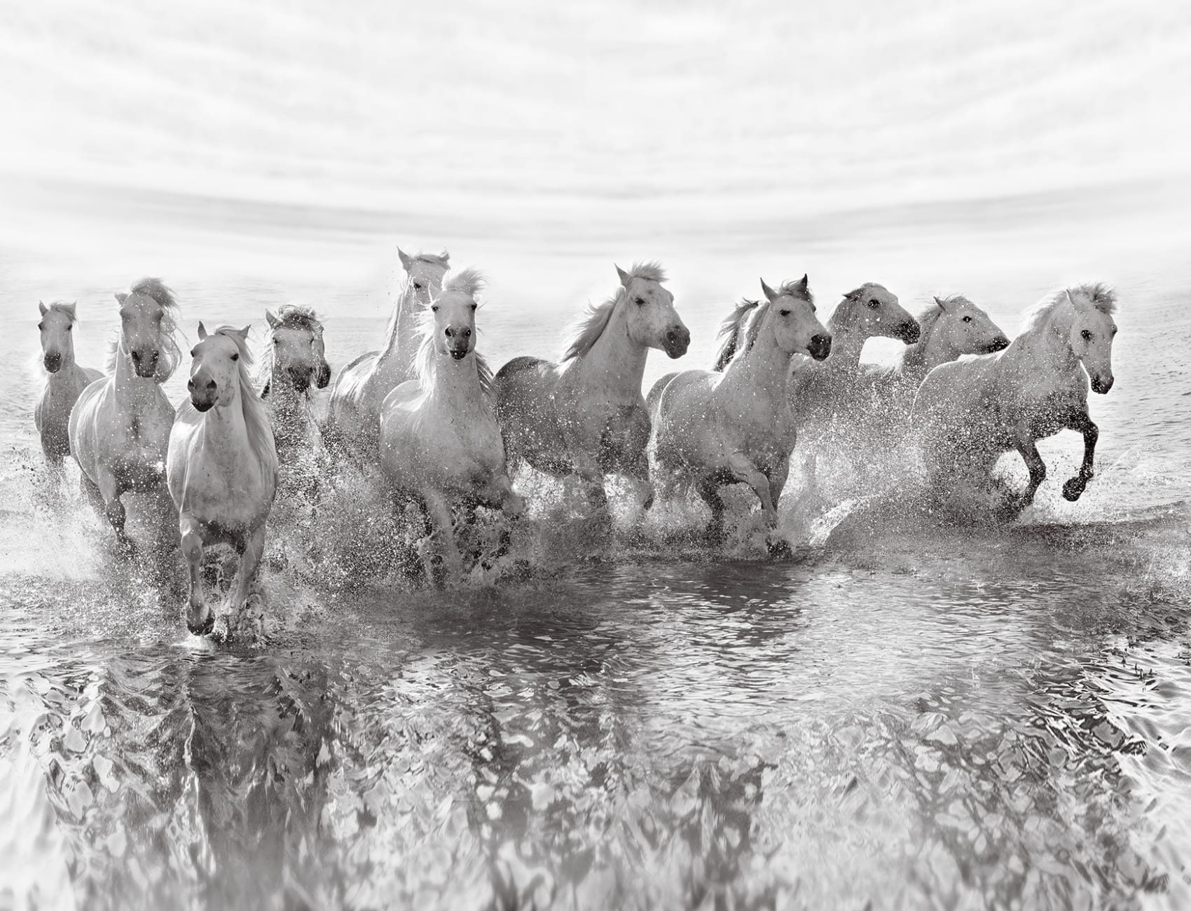 Running Horses