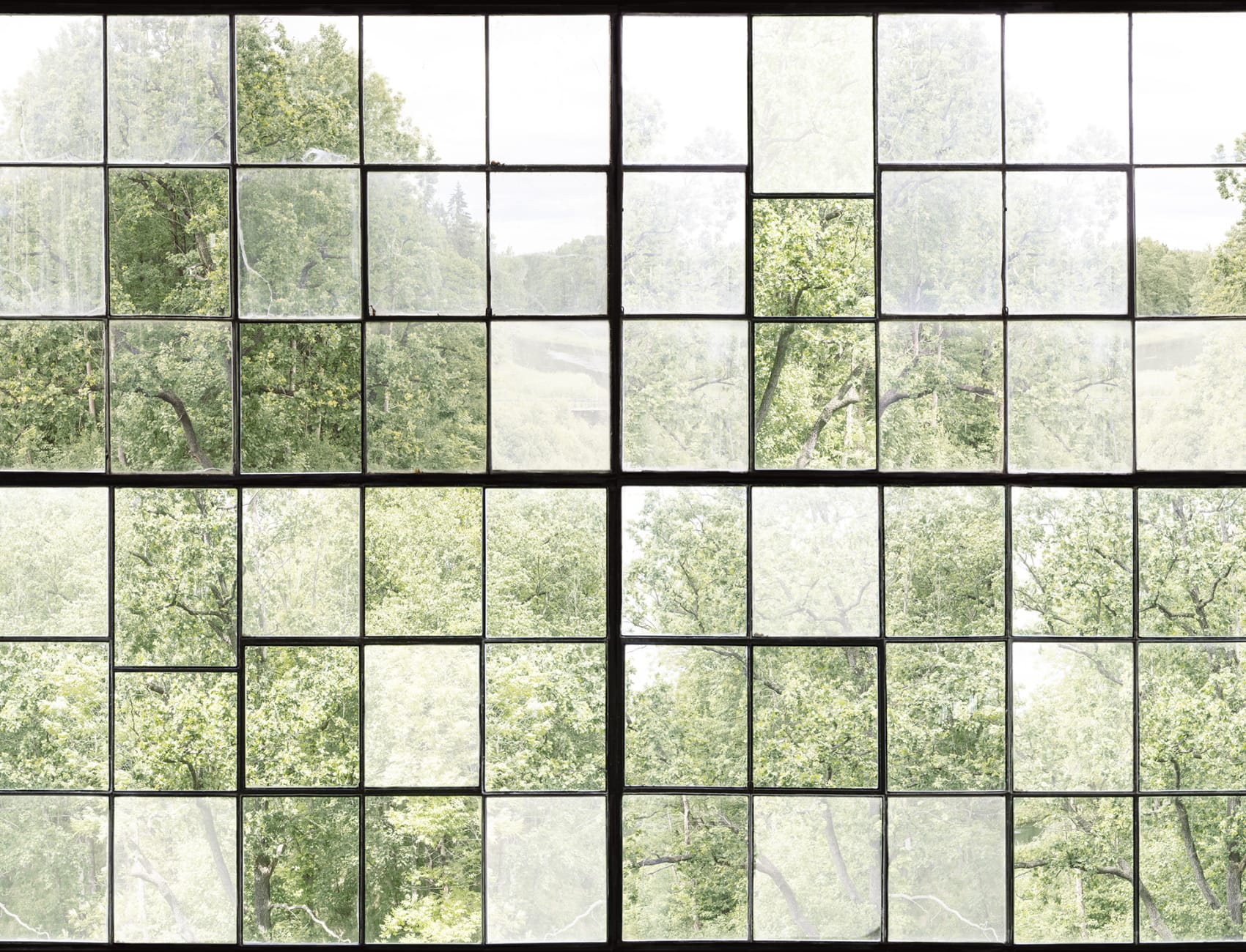 Take a look outside of your walls with a window wall mural