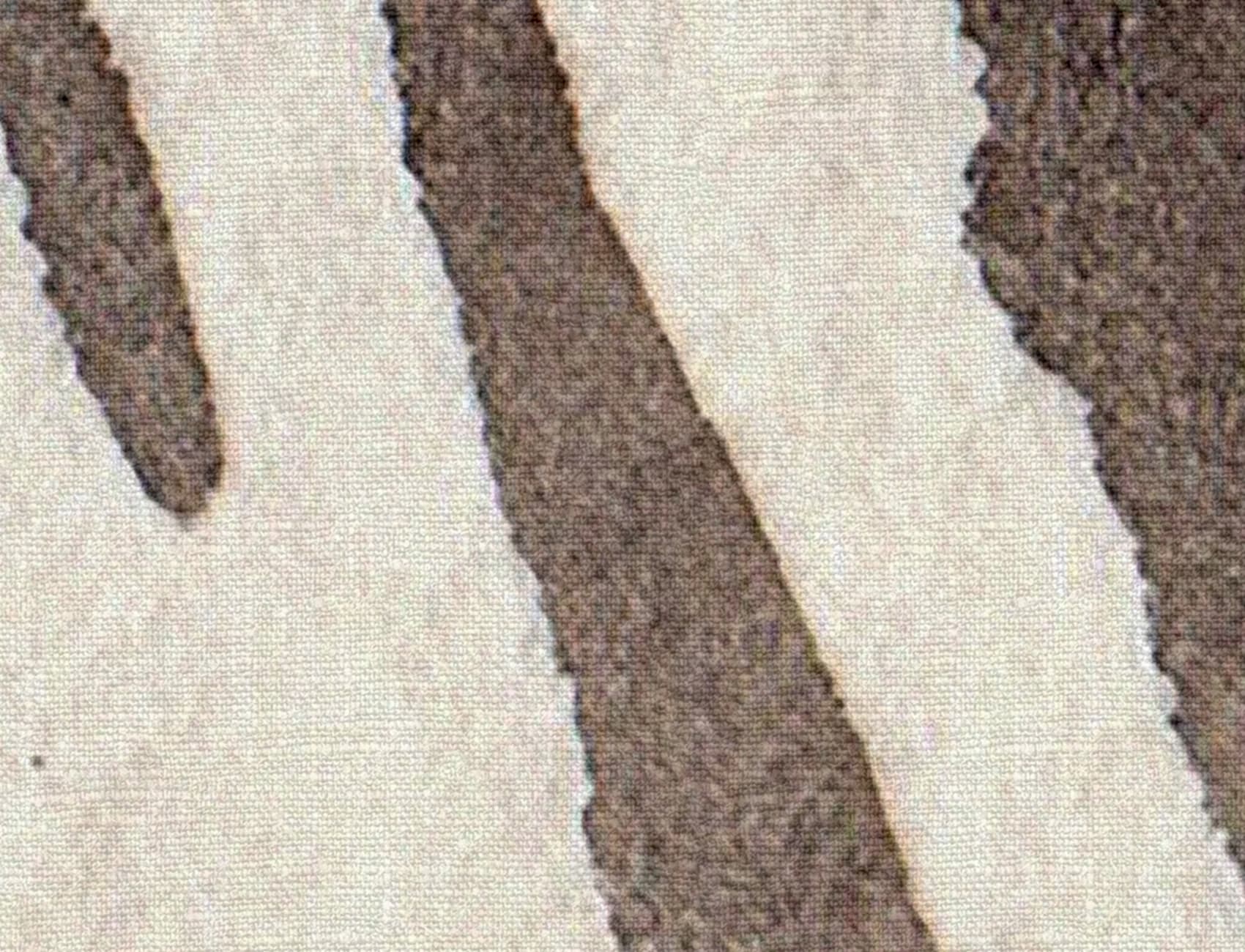 Zebra Stripes, Brown