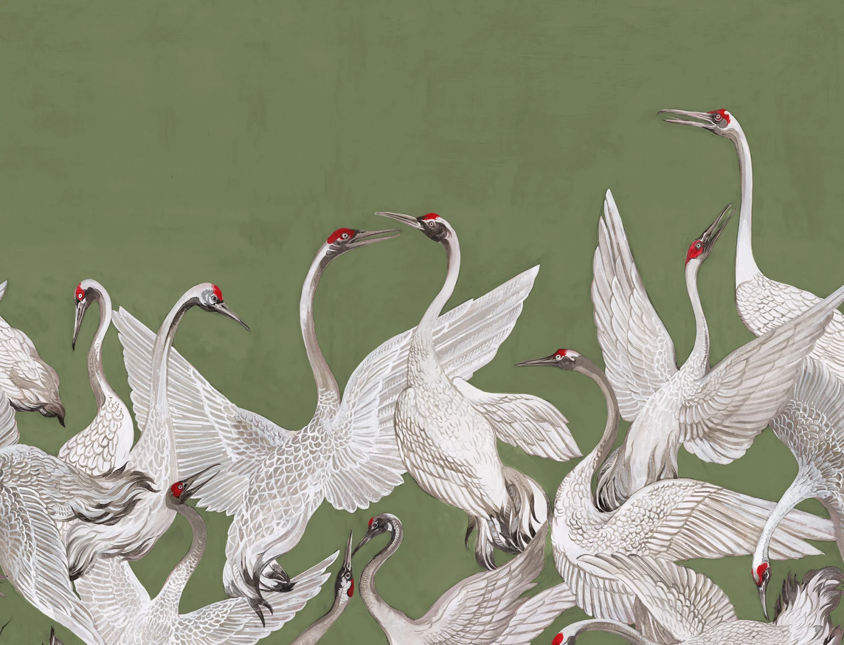 Cranes On a Green Backdrop