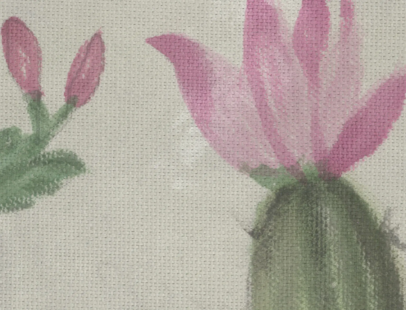 Playfull Cactus, Summer
