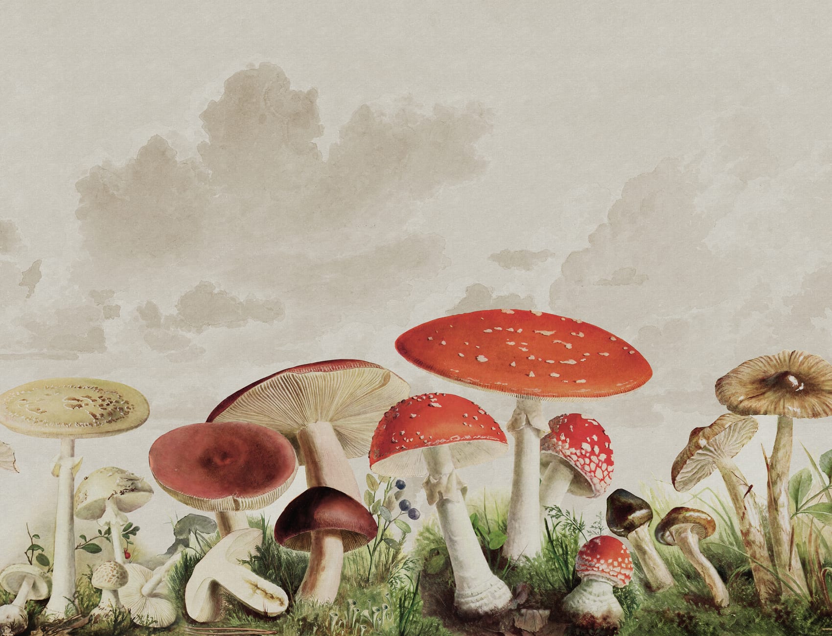 Giant Friendly Mushrooms