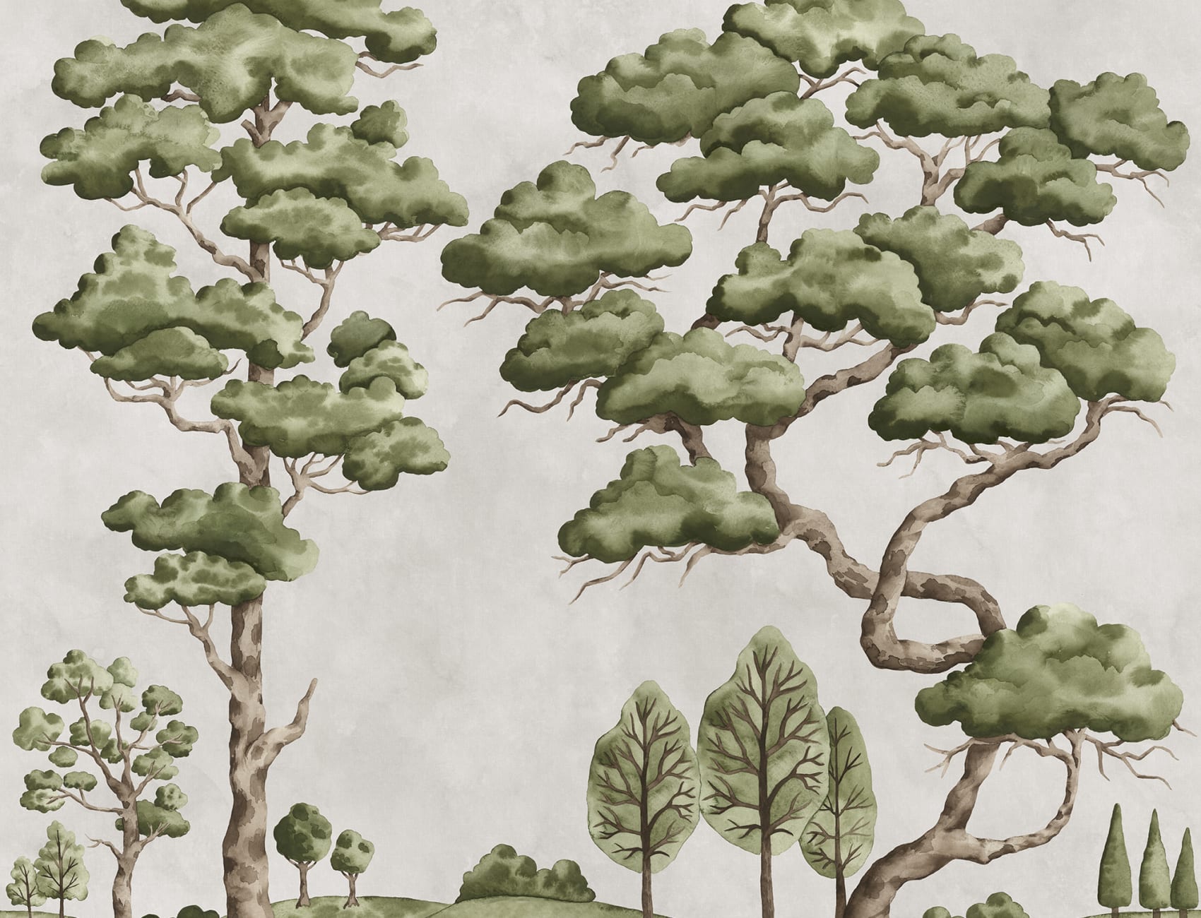Tranquil Trees