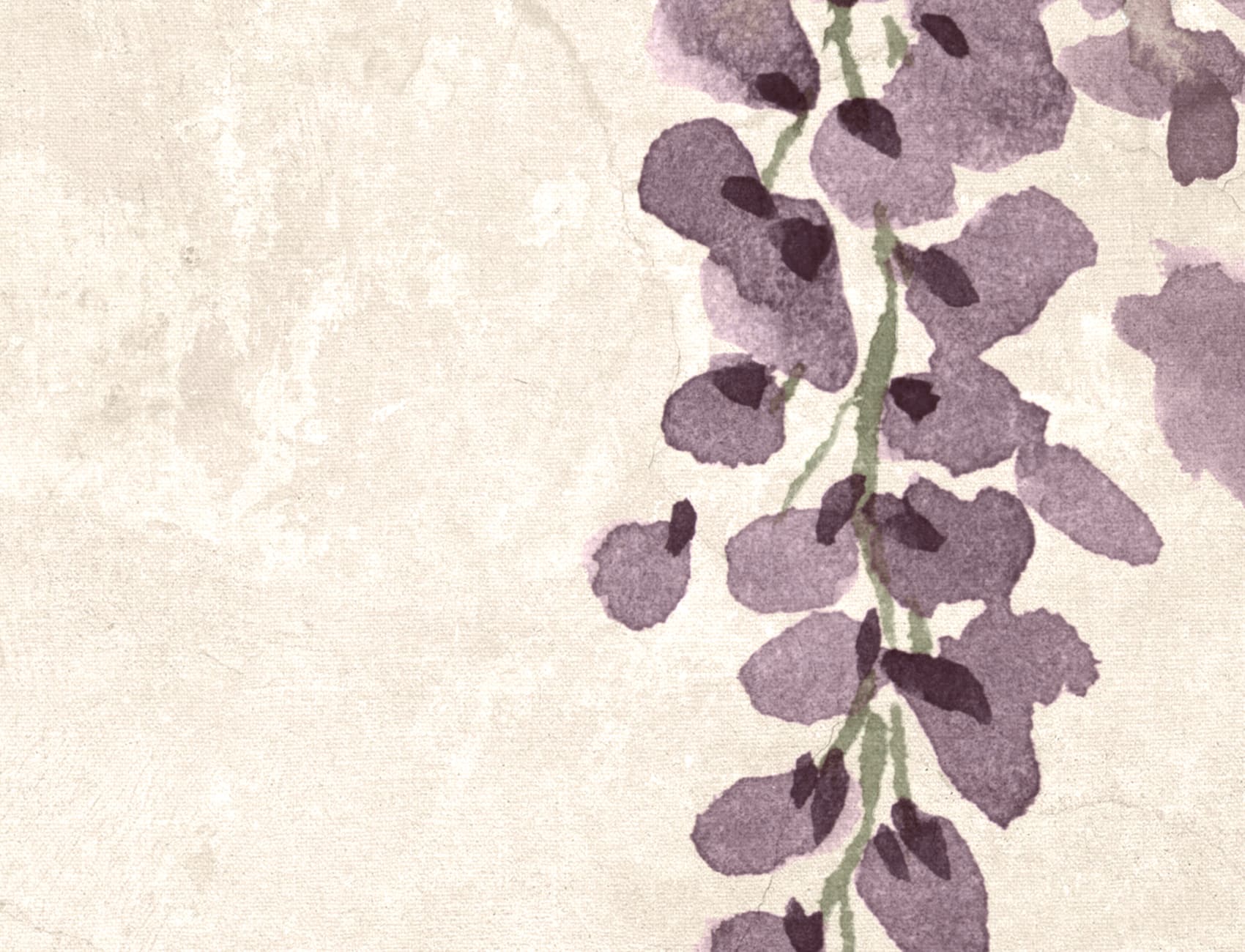 Wisteria Wonder