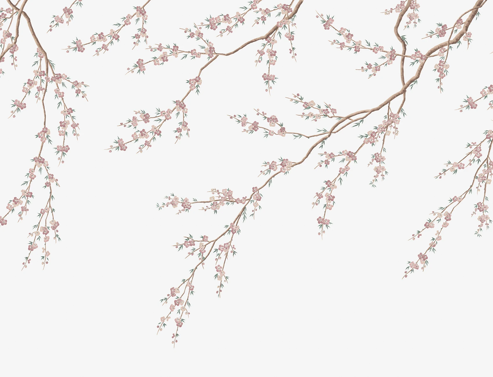 Blossom Whispers