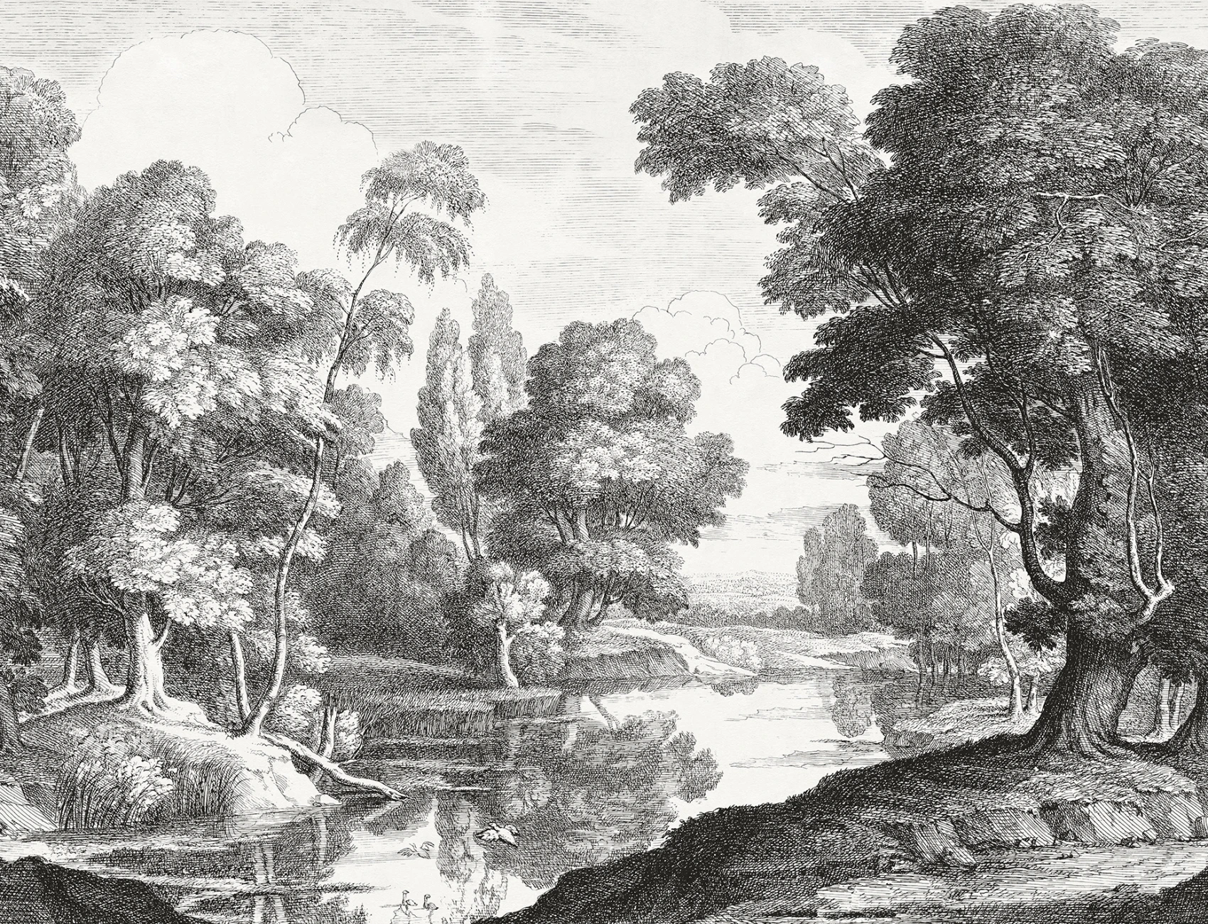 Discover Tranquil Forestry