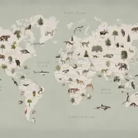 Image Animals