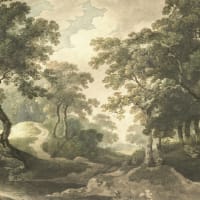 Image Nature