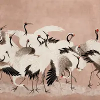 Image Animals