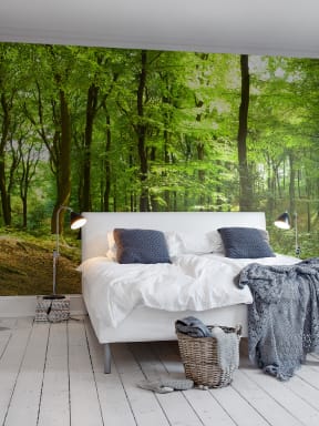 Wall mural with forest motif