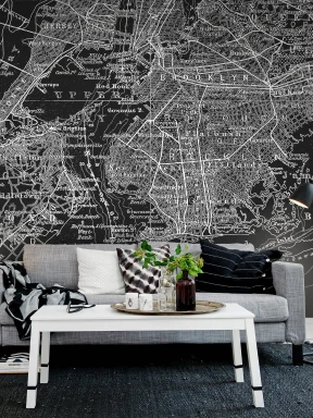 Graphic monochrome map on wall mural