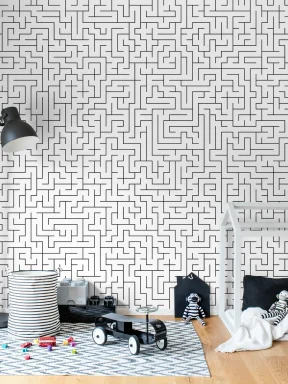 Maze