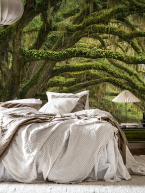 Magical Forest Wall Mural