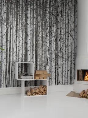 Tree wallpaper looking like birch trunks in characteristic black and white