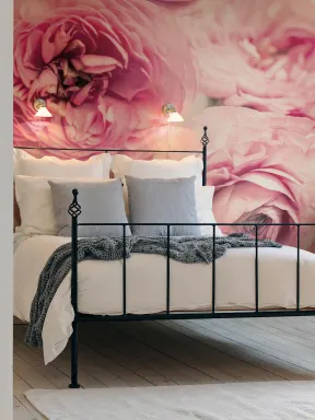 Pink roses wall mural