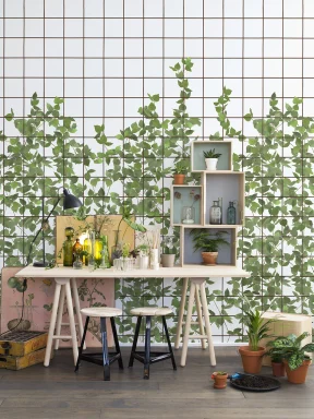 Eine Spalierwand, die sich Richtung Sonne streckt