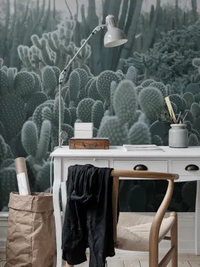 Cacti