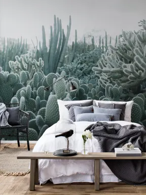 Cacti