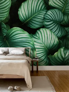 Lush green leaves